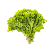 lettuce